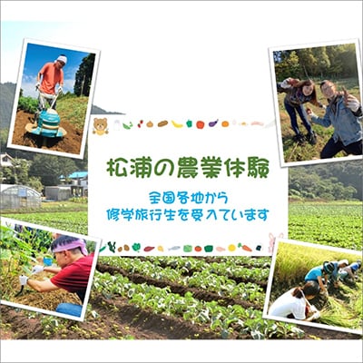 農漁村体験の聖地「松浦党の里」旬の野菜とお米(3kg)セット