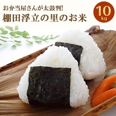 【2023年3月中旬発送】お弁当屋さんが太鼓判!棚田浮立の里のお米10kg