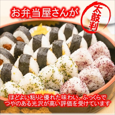 【2023年3月中旬発送】お弁当屋さんが太鼓判!棚田浮立の里のお米10kg
