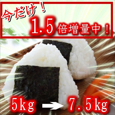 今だけ増量!お弁当屋さんが太鼓判!棚田浮立の里のお米7.5kg