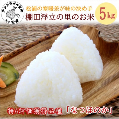 松浦の寒暖差が味の決め手!特A評価獲得の品種「なつほのか」棚田浮立の里のお米5kg