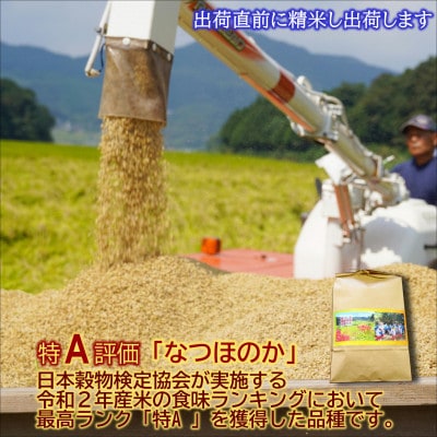 松浦の寒暖差が味の決め手!特A評価獲得の品種「なつほのか」棚田浮立の里のお米5kg