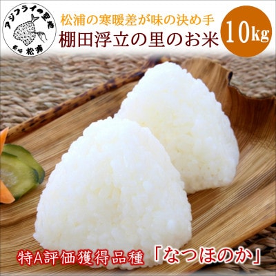 松浦の寒暖差が味の決め手!特A評価獲得の品種「なつほのか」棚田浮立の里のお米10kg