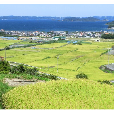 【2022年5月中旬発送】つづら水源の森を流れる水が育む松浦の米　「夢しずく」葛籠の神秘10kg