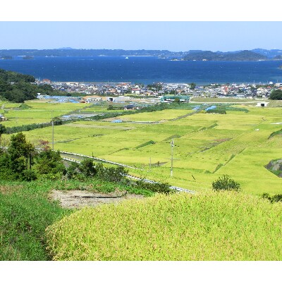 【2022年4月中旬発送】松浦のお米　特A評価獲得の品種「にこまる」麗舞10kg