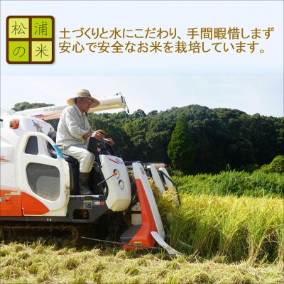 つづら水源の森を流れる水が育む松浦のお米　特A評価獲得の品種「にこまる」麗舞10kg