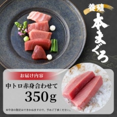 鷹島産本まぐろ　中トロ赤身合わせて350g　まぐろ丼のタレ付き | ふるさと納税のお礼品