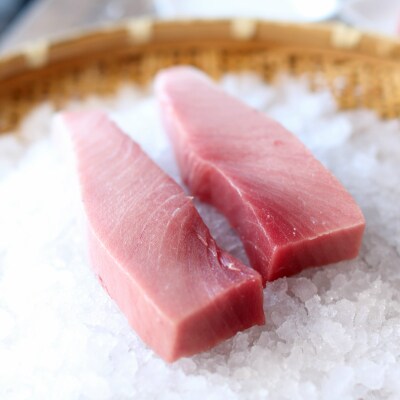 【2023年2月下旬発送】鷹島産本まぐろ　中トロ500g　まぐろ丼のタレ付き