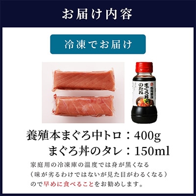 鷹島産本まぐろ　中トロ400g　まぐろ丼のタレ付き