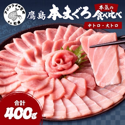 長崎県松浦市鷹島産本まぐろ　大中合わせて400g　