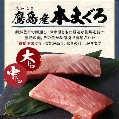 鷹島産本まぐろ　大中合わせて400g　まぐろ丼のタレ付き