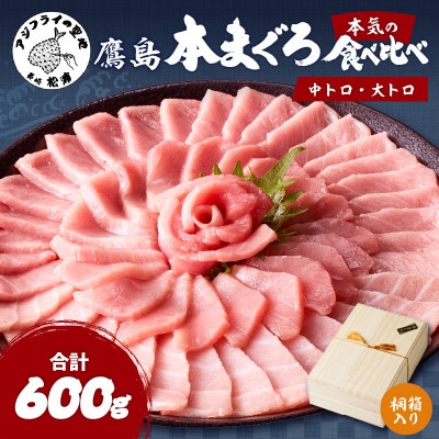 長崎県松浦市鷹島産本まぐろ桐箱入　本マグロ中トロ約200g　大トロ約400g　計約600g