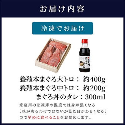 鷹島産本まぐろ桐箱入　まぐろ丼のたれ付き