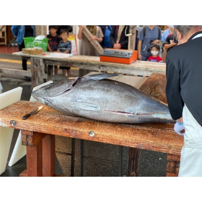 鷹島産本まぐろ定期便(1本分)