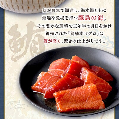特製醤油に漬け込んだ鷹島本まぐろ漬け9人前(各85g)