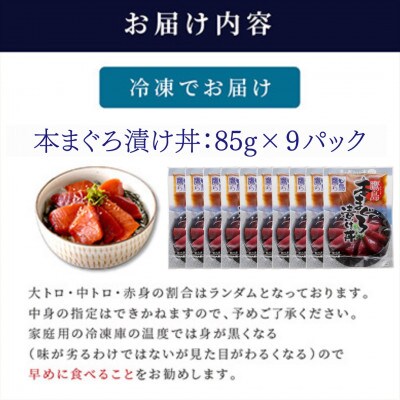特製醤油に漬け込んだ鷹島本まぐろ漬け9人前(各85g)