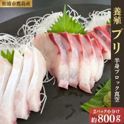 養殖ブリ 【半身 2パック小分け】ブロック真空　約800g