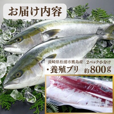 養殖ブリ 【半身 2パック小分け】ブロック真空　約800g