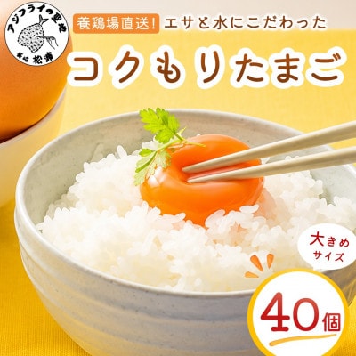 養鶏場直送　松浦の赤たまご(40個)