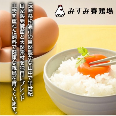 養鶏場直送　松浦の赤たまご(40個)