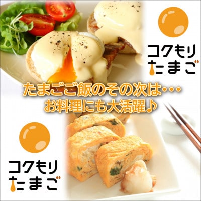 養鶏場直送　松浦の赤たまご(40個)