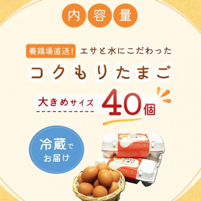 養鶏場直送　松浦の赤たまご(40個)
