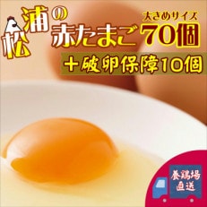 【2023年3月下旬発送】松浦の赤たまご「コクもりたまご」大きめサイズ70個+破卵保障10個