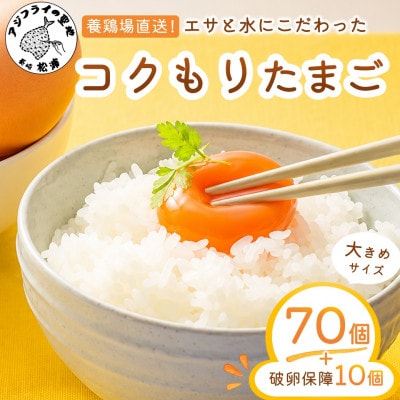 養鶏場直送　松浦の赤たまご「コクもりたまご」大きめサイズ70個+破卵保障10個