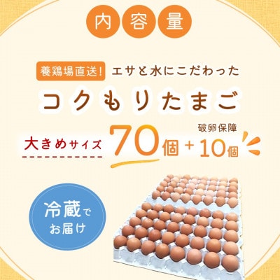 養鶏場直送　松浦の赤たまご「コクもりたまご」大きめサイズ70個+破卵保障10個
