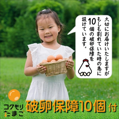 養鶏場直送　松浦の赤たまご「コクもりたまご」小さめサイズ98個+破卵保障10個