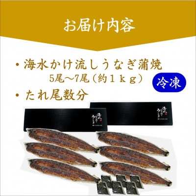 数量限定!訳あり海水かけ流しうなぎ蒲焼5尾～7尾