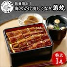 数量限定!海水かけ流しうなぎ蒲焼特大サイズ1尾