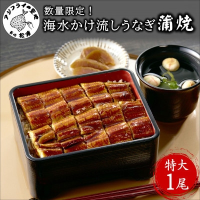 数量限定!海水かけ流しうなぎ蒲焼特大サイズ1尾