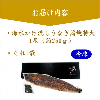 数量限定!海水かけ流しうなぎ蒲焼特大サイズ1尾