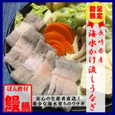 数量限定!海水かけ流しうなぎ鍋用切身　2人前×2パック