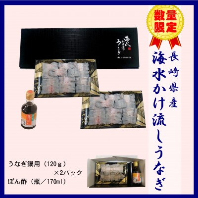 数量限定!海水かけ流しうなぎ鍋用切身　2人前×2パック