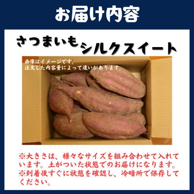 【長崎県松浦市産】畑の宝石　さつまいも(シルクスイート)5kg