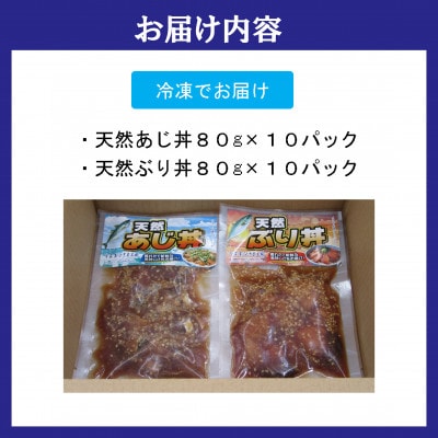 海鮮漬け丼セット各10パック