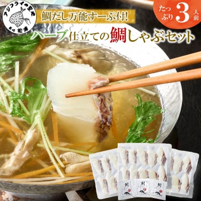 鯛だし万能すーぷ付!ハーブ仕立ての鯛しゃぶセット工場直送たっぷり3人前