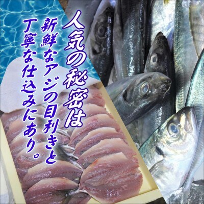 【2025年3月下旬発送】行列ができる人気店「海道」の大きなアジフライ&エビフライ