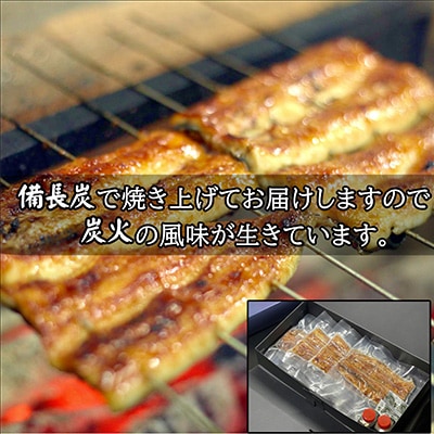 天保年間創業　祖川真兵衛総本家鶴屋の炭火焼海うなぎ　蒲焼き2尾