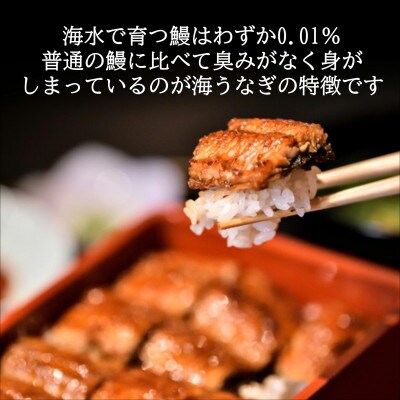 天保年間創業　祖川真兵衛総本家鶴屋の炭火焼海うなぎ　蒲焼き3尾