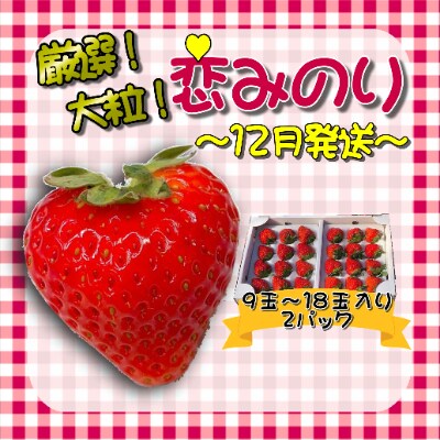 【2022年12月発送】厳選大粒いちご～恋みのり～　9玉～18玉入り2パック