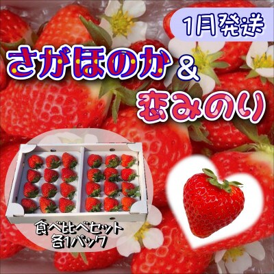 【2023年1月発送】厳選大粒いちご～恋みのり&さがほのか～食べ比べセット2P
