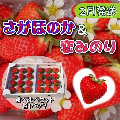 【2023年2月発送】厳選大粒いちご～恋みのり&さがほのか～食べ比べセット2P