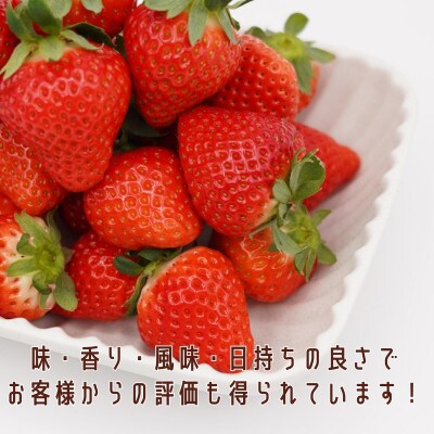 厳選大粒いちご～紅ほっぺ～　12粒-18粒入り2パック