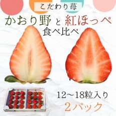 【2023年4月より順次発送】厳選大粒いちご～紅ほっぺ&amp;かおり野～食べ比べセット2パック