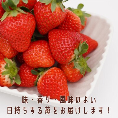 【2025年4月発送】厳選大粒　こだわり苺 品種お任せ 12～18粒×2パック