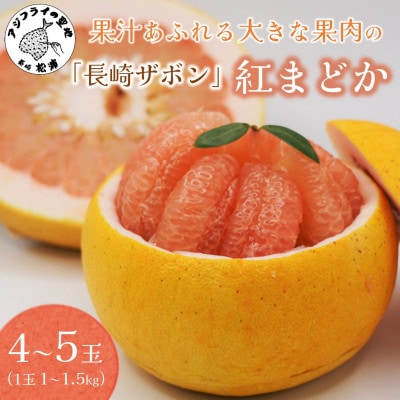 『期間限定』柑橘の王様!「長崎ザボン」果汁あふれる大きな果肉の紅まどか(4～5玉)