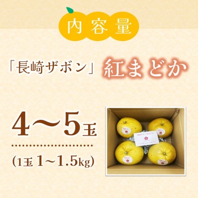 『期間限定』柑橘の王様!「長崎ザボン」果汁あふれる大きな果肉の紅まどか(4～5玉)